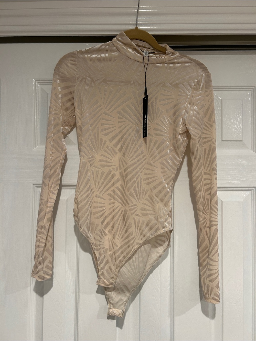 Fashion Nova Nude Sheer Velvet Burnout Long Sleeve Bodysuit